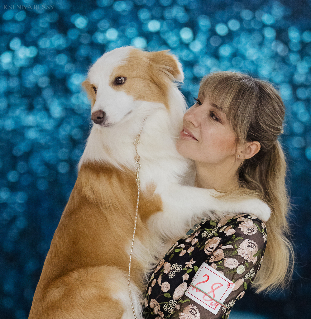 питомник Рутагор бордер колли